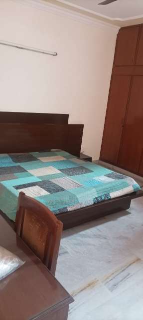 1.5 BHK Builder Floor For Rent in RWA Apartments Sector 50 Sector 50 Noida 6623473