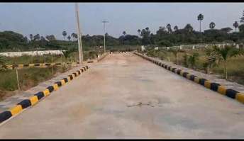 Plot For Resale in Banjara Hills Hyderabad  6623629