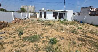  Plot For Resale in Gn Sector Sigma ii Greater Noida 6623773