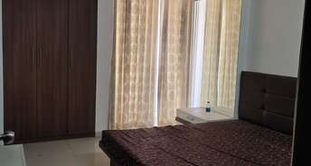 3 BHK Penthouse For Rent in VasanA Bhayli Road Vadodara 6623896