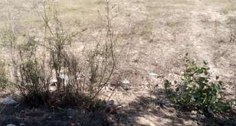  Plot For Resale in Sector 110a Gurgaon 6624080