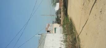  Plot For Resale in Sector 59 Faridabad 6624180