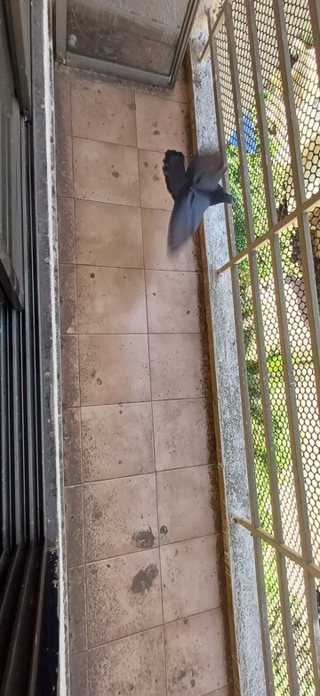 Balcony in 1 BHK Apartment at Parsik Nagar – for Sale