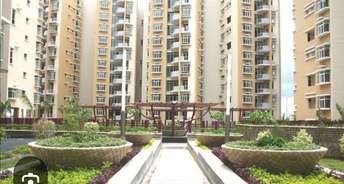 4 BHK Apartment For Rent in IJM Malayasian TownShip Kukatpally Hyderabad 6624832