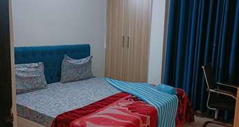 1 BHK Apartment For Rent in Sunworld Arista Sector 168 Noida 6625043