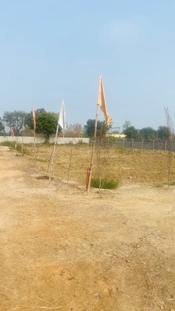 Plot For Resale in Sector 58 Faridabad  6625079