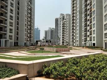 3.5 BHK Apartment For Resale in Corona Optus Sector 37c Gurgaon 6625539