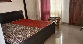 1 RK Apartment For Rent in Today Ridge Residency Sector 135 Noida 6625601