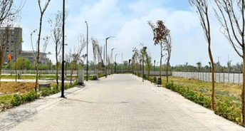  Plot For Resale in Sector 86 Faridabad 6625633