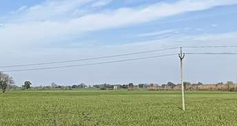 Commercial Land 35000 Sq.Yd. For Resale In Kharkhoda Sonipat 6625654