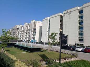 4 BHK Apartment For Resale in Wave City Ghaziabad  6625861
