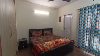 3.5 BHK Builder Floor For Rent in Bptp Park 81 Sector 81 Faridabad 6625854