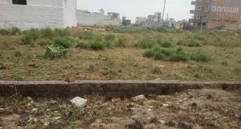  Plot For Resale in Sector 56 Faridabad 6626195
