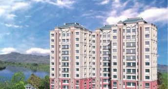 1 BHK Apartment For Resale in Dosti Group Maitri Vatika Kalwa Thane 6626283