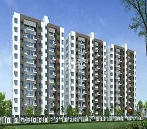 2 BHK Apartment For Rent in Pragati Nandini Bellus Manjari Pune 6626486