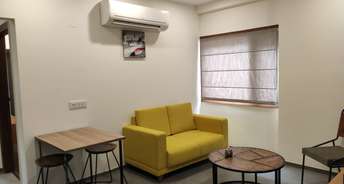 1 BHK Builder Floor For Rent in DLF City Phase IV Dlf Phase iv Gurgaon 6626813