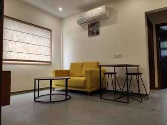 1 BHK Builder Floor For Rent in Dlf City Phase 3 Gurgaon 6626829