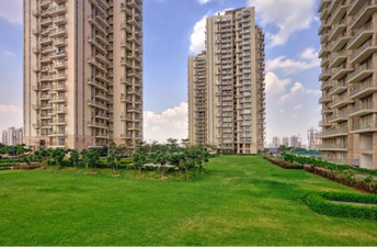 3.5 BHK Apartment For Rent in Conscient Heritage Max Sector 102 Gurgaon 6627069