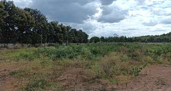 Commercial Land 15 Acre For Resale In Hoskote Bangalore 6627171