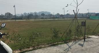  Plot For Resale in Sector 86 Faridabad 6627716