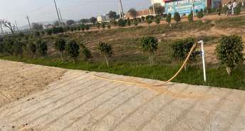 Commercial Land 250 Sq.Ft. For Resale In Delhi Jaipur Highway Alwar 6627830