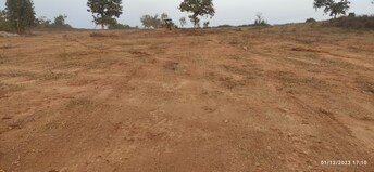 Plot For Resale in Jangaon Hyderabad  6627918