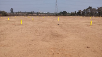 Plot For Resale in Sangareddy Hyderabad  6628188