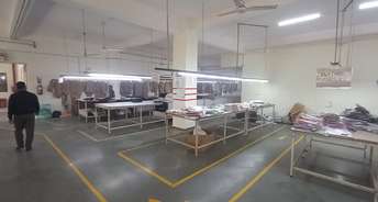 Commercial Warehouse 23900 Sq.Ft. For Rent In Pace City 2 Gurgaon 6628492