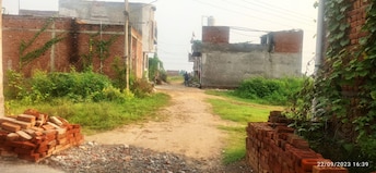 Plot For Resale in Jajru Faridabad  6629181