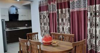 2 BHK Apartment For Rent in RPS Savana Sector 88 Faridabad 6629953