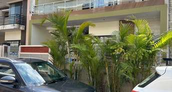 4 BHK Independent House For Resale in Sector 125 Mohali 6624103