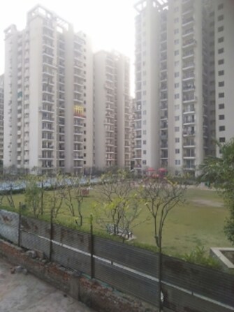 3 BHK Apartment For Resale in MGH Mulberry County Sector 70 Faridabad  6630329