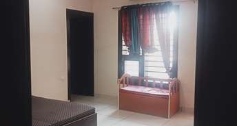 3.5 BHK Apartment For Rent in Sector 16 Hisar 6631515