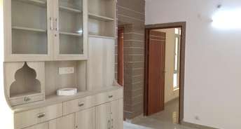 2 BHK Apartment For Resale in Supertech Ecociti Sector 137 Noida 6631658