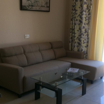 3 BHK Apartment For Resale in Kharar Road Mohali  6631802