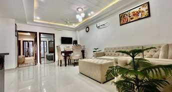 3 BHK Apartment For Resale in Motia Homes Lohgarh Zirakpur 6632437