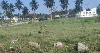  Plot For Resale in Sriramapura Mysore 6632483