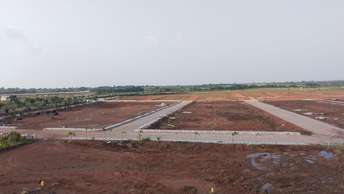  Plot For Resale in Nh 65 Hyderabad 6632677