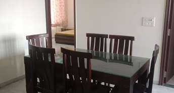 3 BHK Independent House For Rent in Samanvay Atmosphere Prime Kalwara Jaipur 6632698