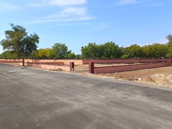 Plot For Resale in Shikargarh Jodhpur  6632735