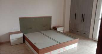 3 BHK Builder Floor For Rent in DLF Garden City Plots I Sector 91 Gurgaon 6632857