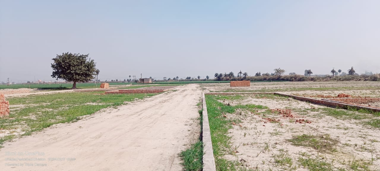 Plot For Resale in Sector 89 Faridabad  6633065