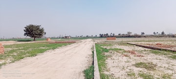 Plot For Resale in Sector 89 Faridabad  6633065