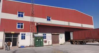 Commercial Warehouse 217000 Sq.Ft. For Rent In Pataudi Road Gurgaon 6633498
