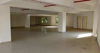 Commercial Showroom 5000 Sq.Ft. For Rent In Naranpura Ahmedabad 6633556