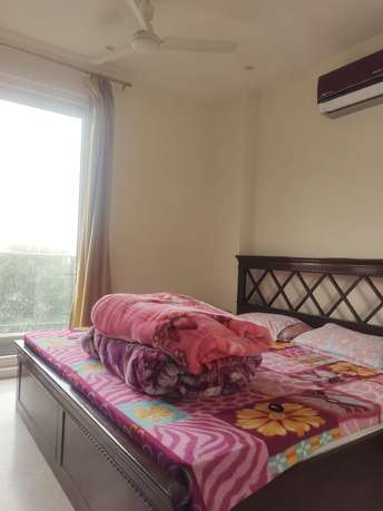 Studio Builder Floor For Rent in RWA East Of Kailash Block D East Of Kailash Delhi 6633734