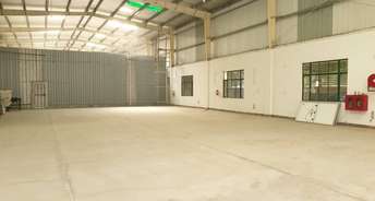 Commercial Warehouse 5000 Sq.Ft. For Rent In Sector 84 Gurgaon 6633763