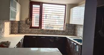 3 BHK Builder Floor For Rent in Sector 9 Faridabad 6634689