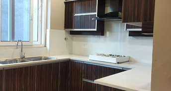 3 BHK Builder Floor For Rent in Sector 16 A Faridabad 6634780