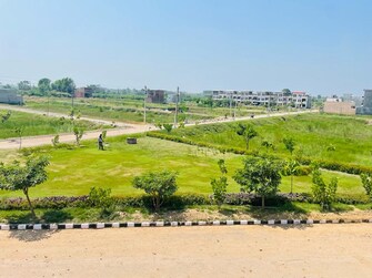 Plot For Resale in Sector 103 Mohali  6636168